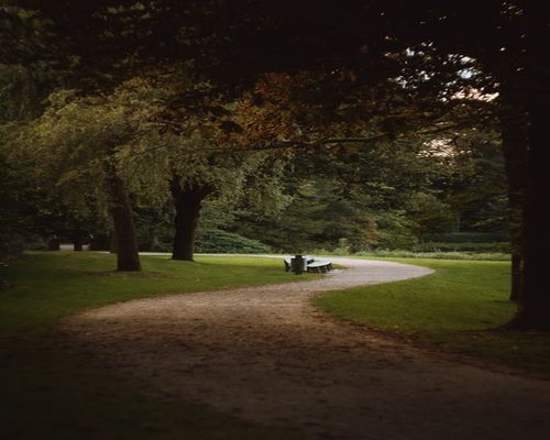 Calm evening walk in a scenic park away from digital devices